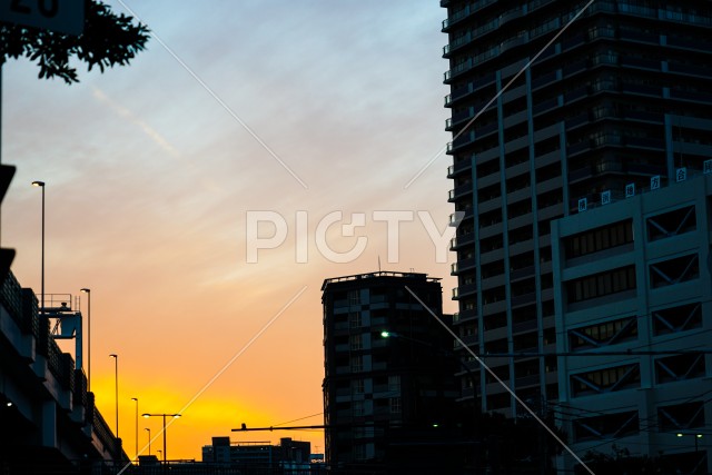 写真のタイトルが入ります