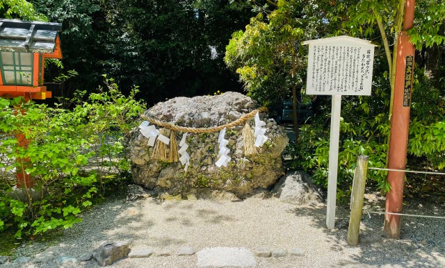写真のタイトルが入ります