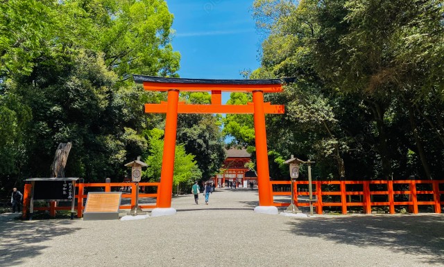 写真のタイトルが入ります