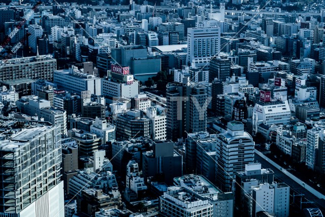 横浜ランドマークタワーから見える街並み