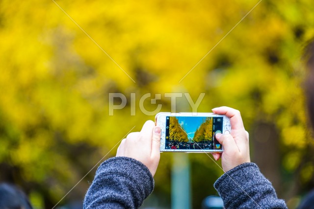 スマートフォン越しの神宮外苑いちょう並木
