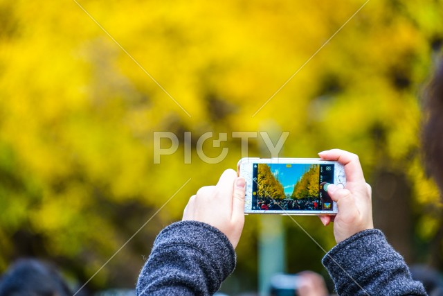 スマートフォン越しの神宮外苑いちょう並木