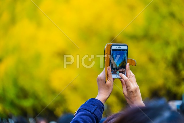 写真のタイトルが入ります