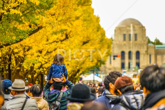 神宮外苑いちょう並木の子供の後ろ姿