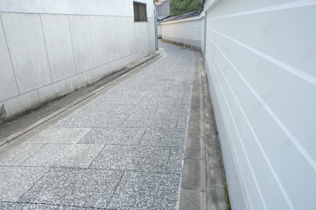 写真のタイトルが入ります