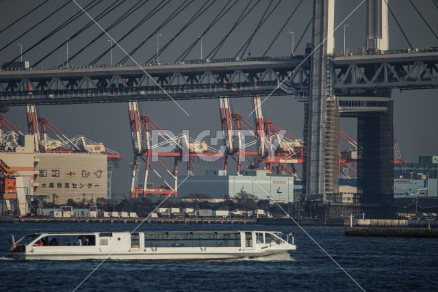 横浜ベイブリッジとプラント