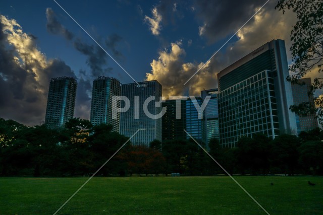 写真のタイトルが入ります