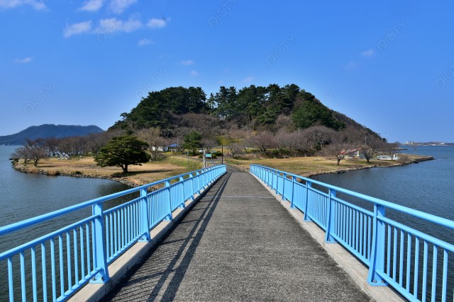 写真のタイトルが入ります