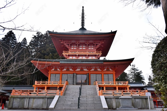 写真のタイトルが入ります