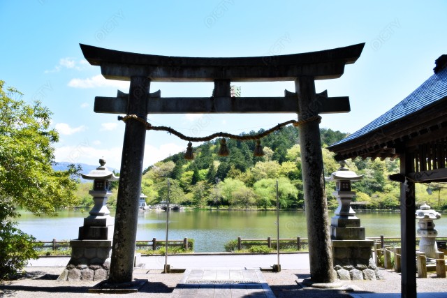 写真のタイトルが入ります