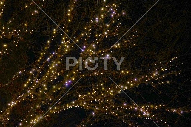 クリスマスのイルミネーション