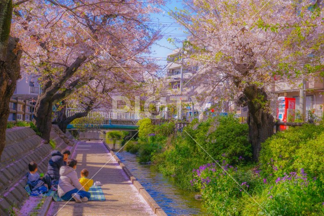 写真のタイトルが入ります