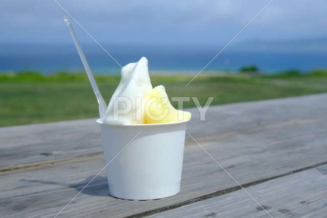 写真のタイトルが入ります