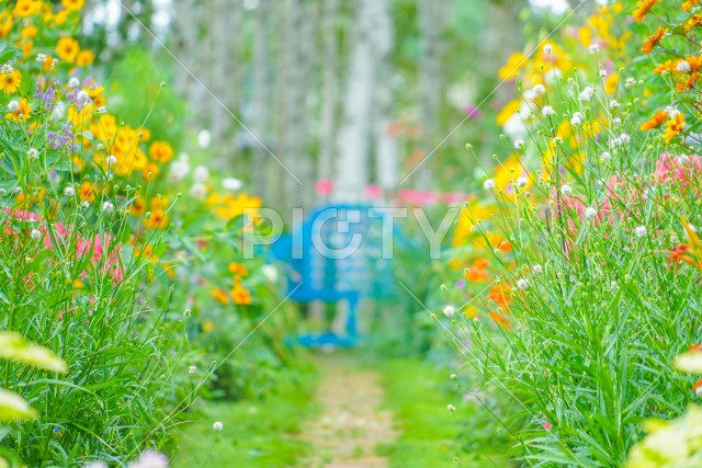 色とりどりの花に囲まれた道