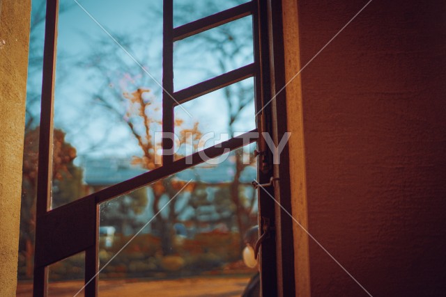 写真のタイトルが入ります