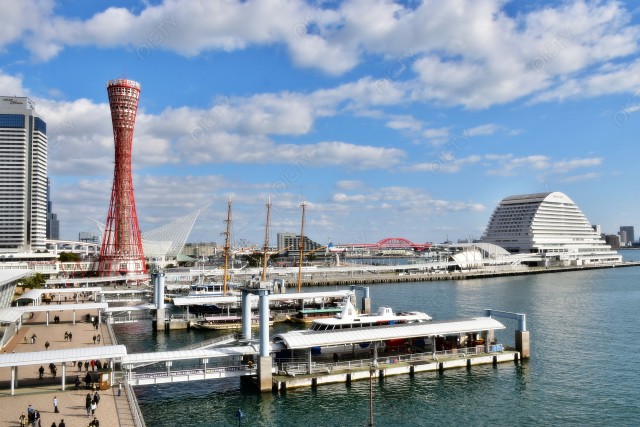 写真のタイトルが入ります