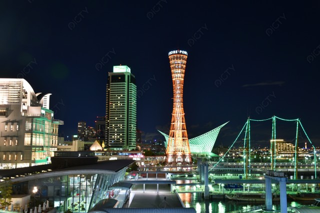 写真のタイトルが入ります