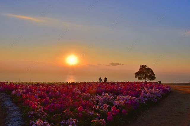 写真のタイトルが入ります