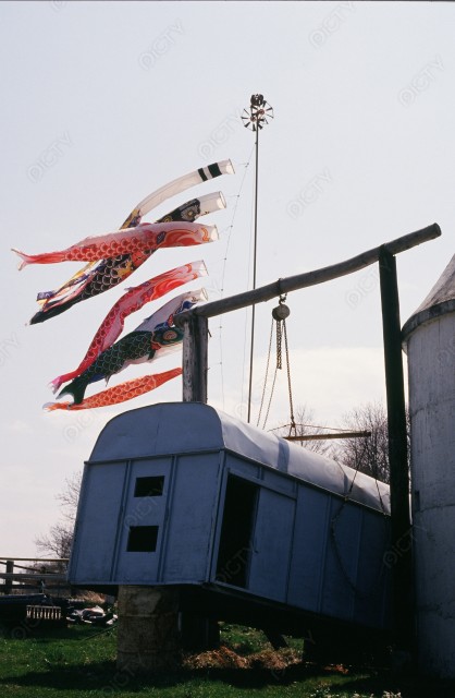 写真のタイトルが入ります