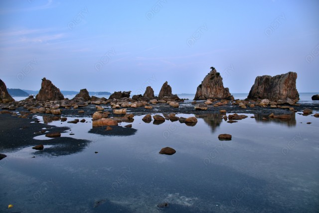 写真のタイトルが入ります