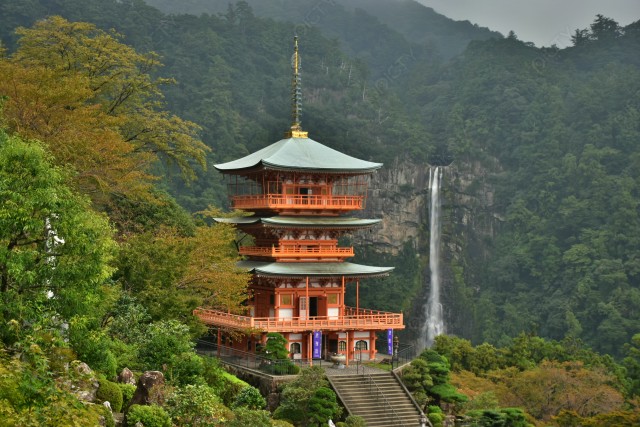 写真のタイトルが入ります