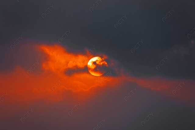 写真のタイトルが入ります
