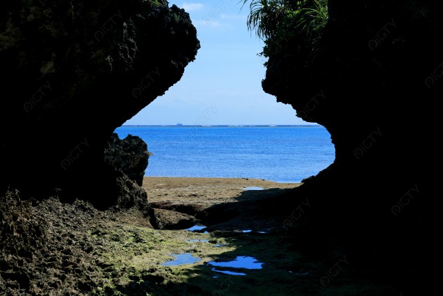 写真のタイトルが入ります
