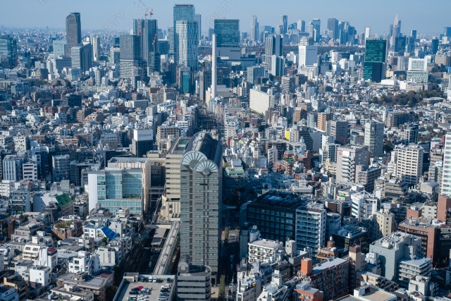 写真のタイトルが入ります