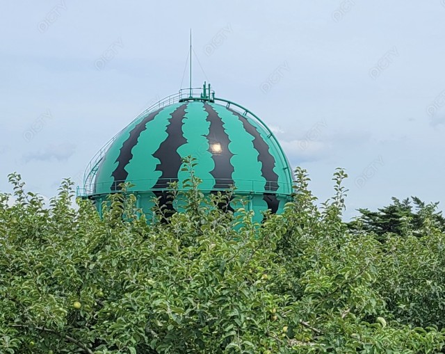 写真のタイトルが入ります