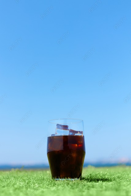 写真のタイトルが入ります