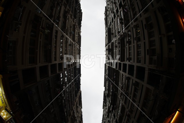 写真のタイトルが入ります