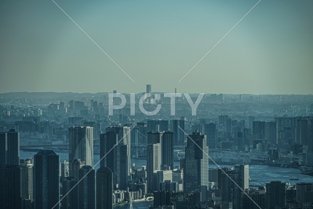 東京の都市越しに見える横浜の街