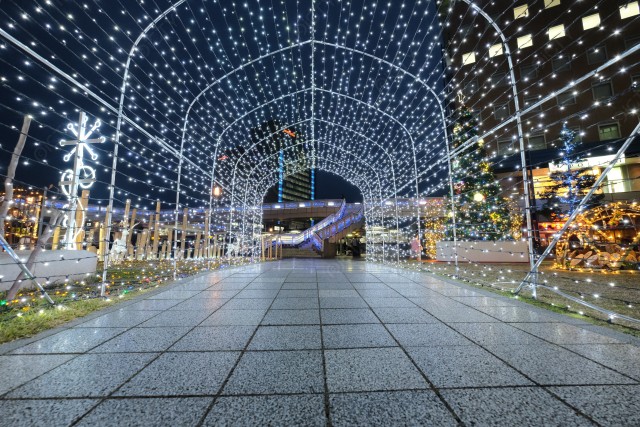 写真のタイトルが入ります