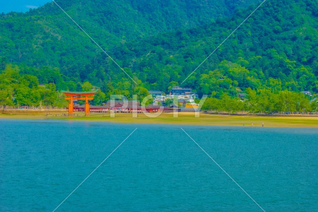 写真のタイトルが入ります