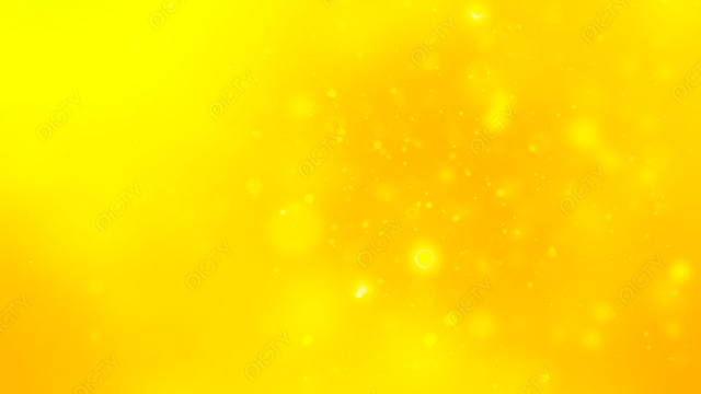 写真のタイトルが入ります