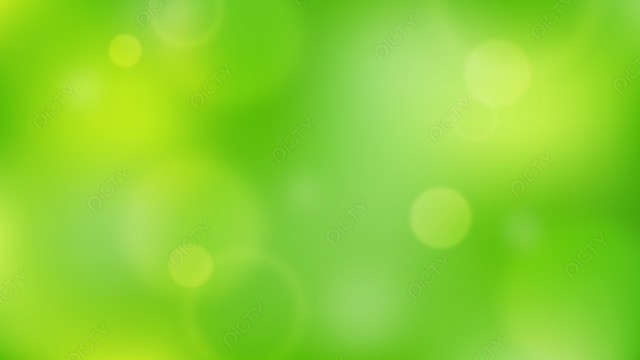 写真のタイトルが入ります