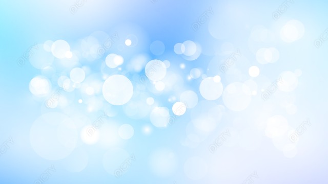 写真のタイトルが入ります