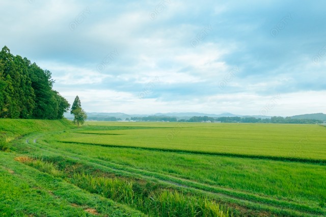 写真のタイトルが入ります