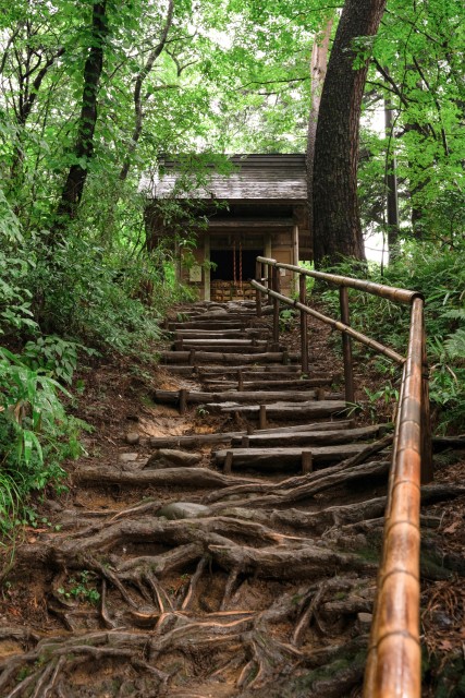 中尊寺_3