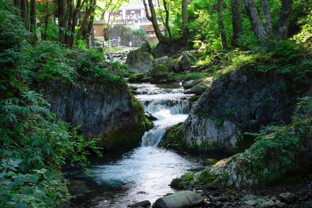 岩手県下閉伊郡の清流_1