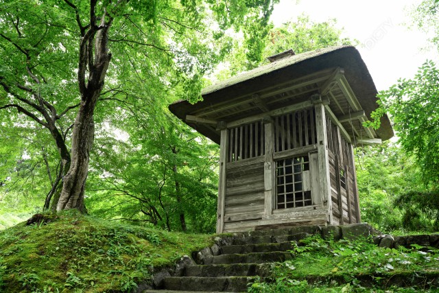 写真のタイトルが入ります