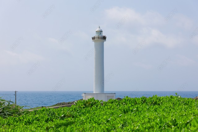 写真のタイトルが入ります