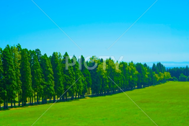 写真のタイトルが入ります