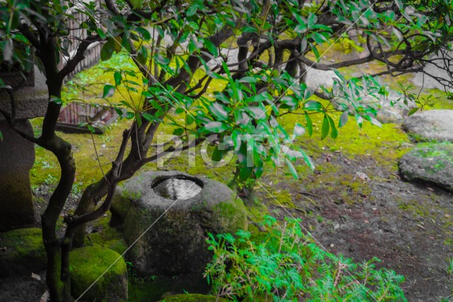 日本家屋の縁側から見える風景