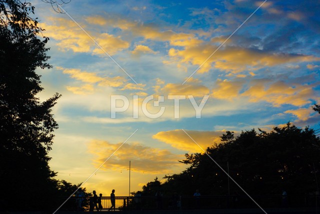 緑の文化ゾーンの夕景（東京都立川市）