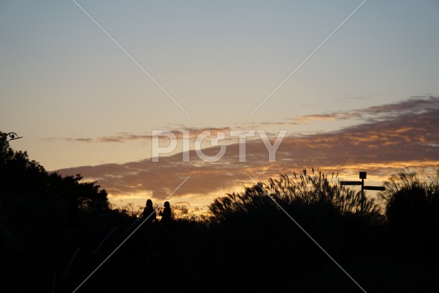 緑の文化ゾーンの夕景（東京都立川市）