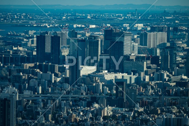 東京の街並み（東京スカイツリーから撮影）