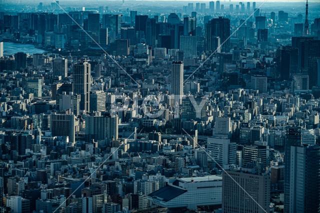 写真のタイトルが入ります
