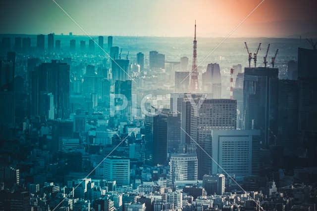 東京都中心部のビル群