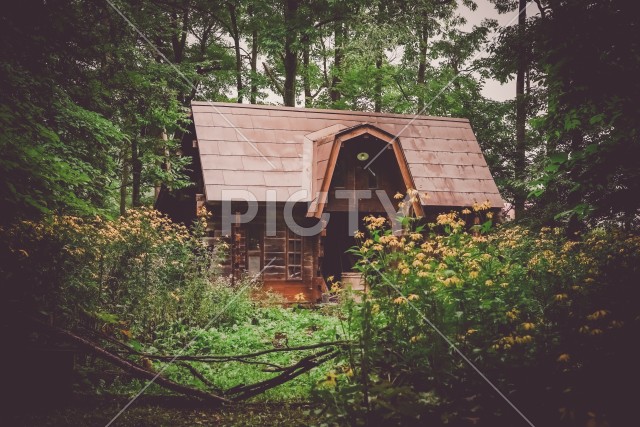 森の中の小屋